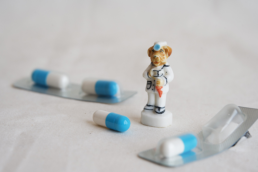 犬のお医者さんフェーヴ イメージ