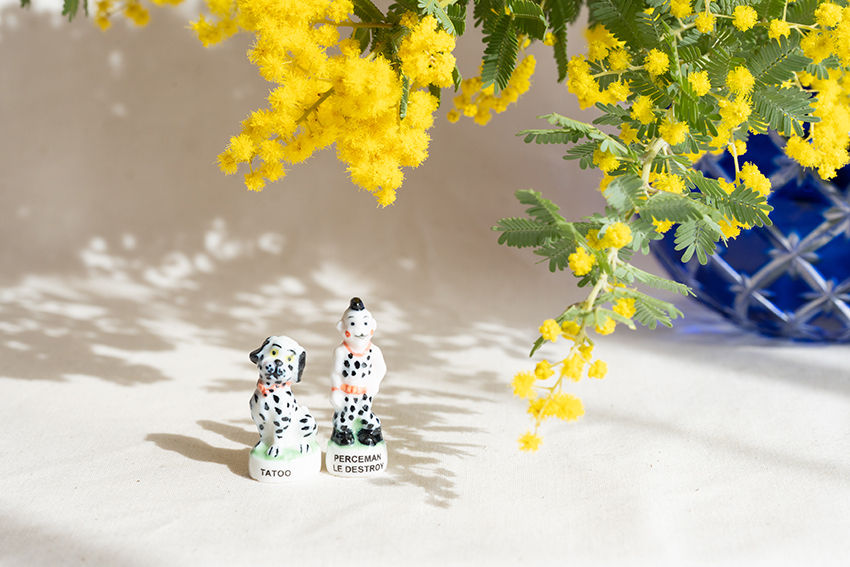 ミモザとそっくりフェーヴ　破壊王パーシーマンとタトゥー